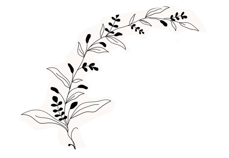 Motif floral noir sur fond clair